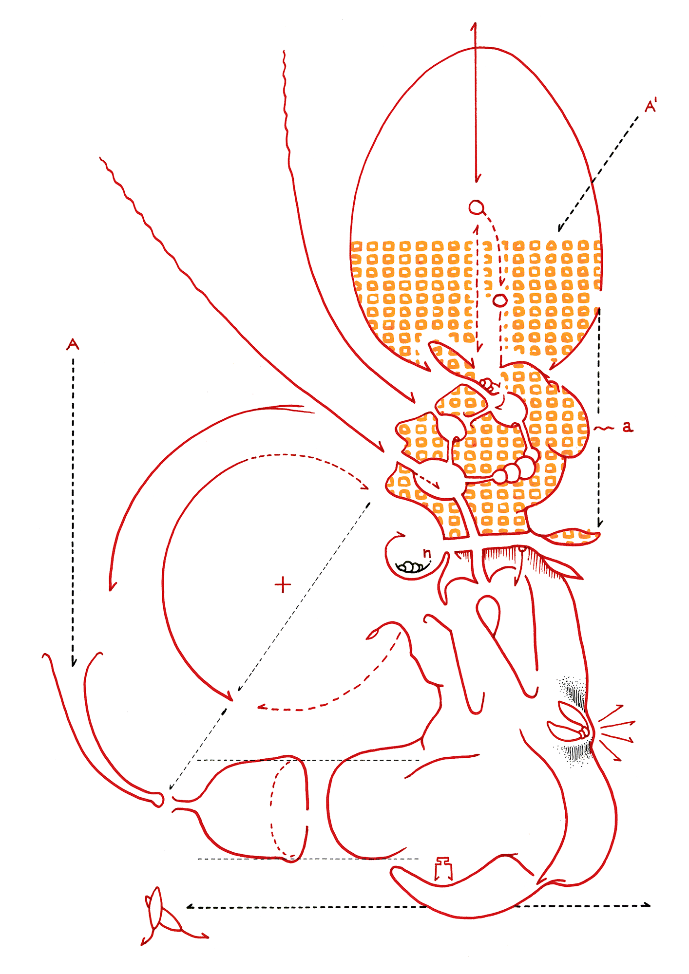 Hannes Kater – Tageszeichnung (Zeichnung/drawing) vom 13.11.2014 (1414 x 2000 Pixel)