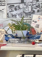 Pflanze (Detail) aus: Anna Oppermann Hausfrau sein, Hamburg 2026  Foto: Hannes Kater 